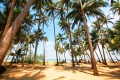 Đất xã đảo tam hải núi thành
